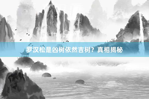罗汉松是凶树依然吉树？真相揭秘