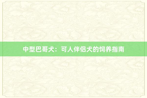 中型巴哥犬：可人伴侣犬的饲养指南