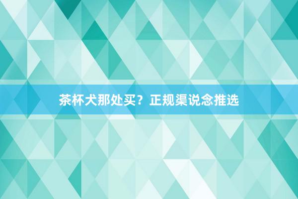 茶杯犬那处买?正规渠说念推选